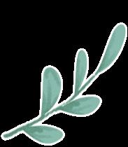 DƬ